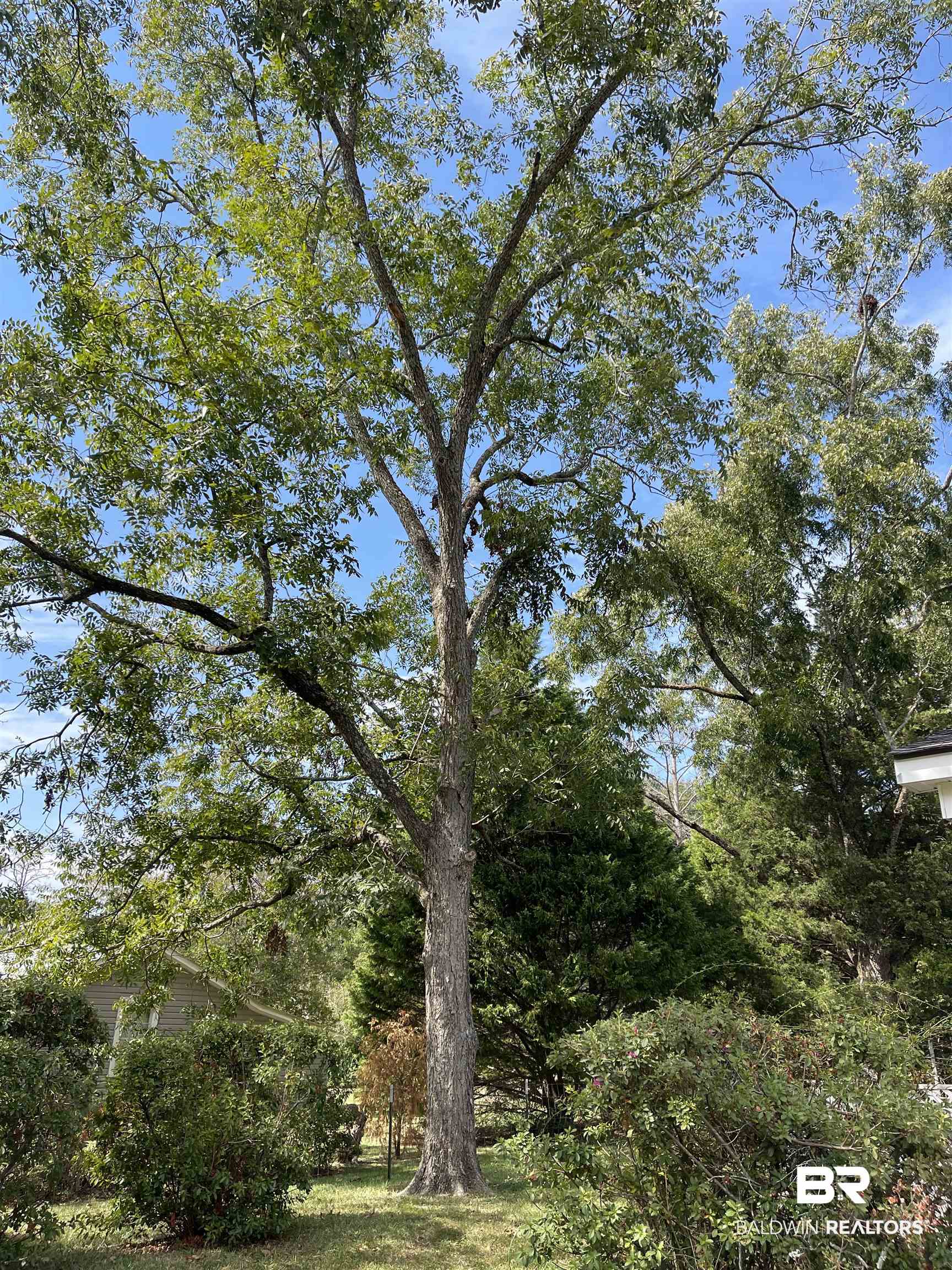60 Bergman Street Monroeville, AL 36460 - Photo 8 of 9