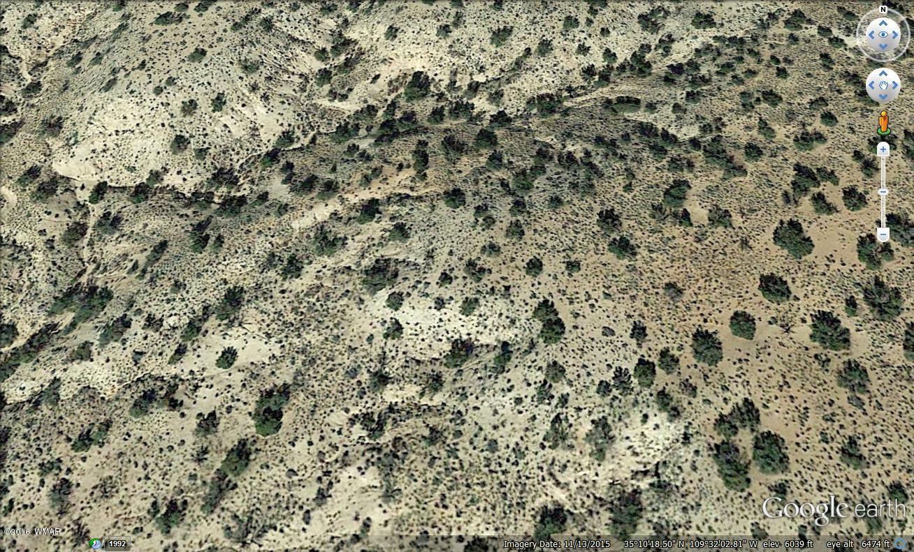 Tract Z Tract Z Sweetwater Ranch Road Sanders, AZ 86512 - Photo 2 of 2