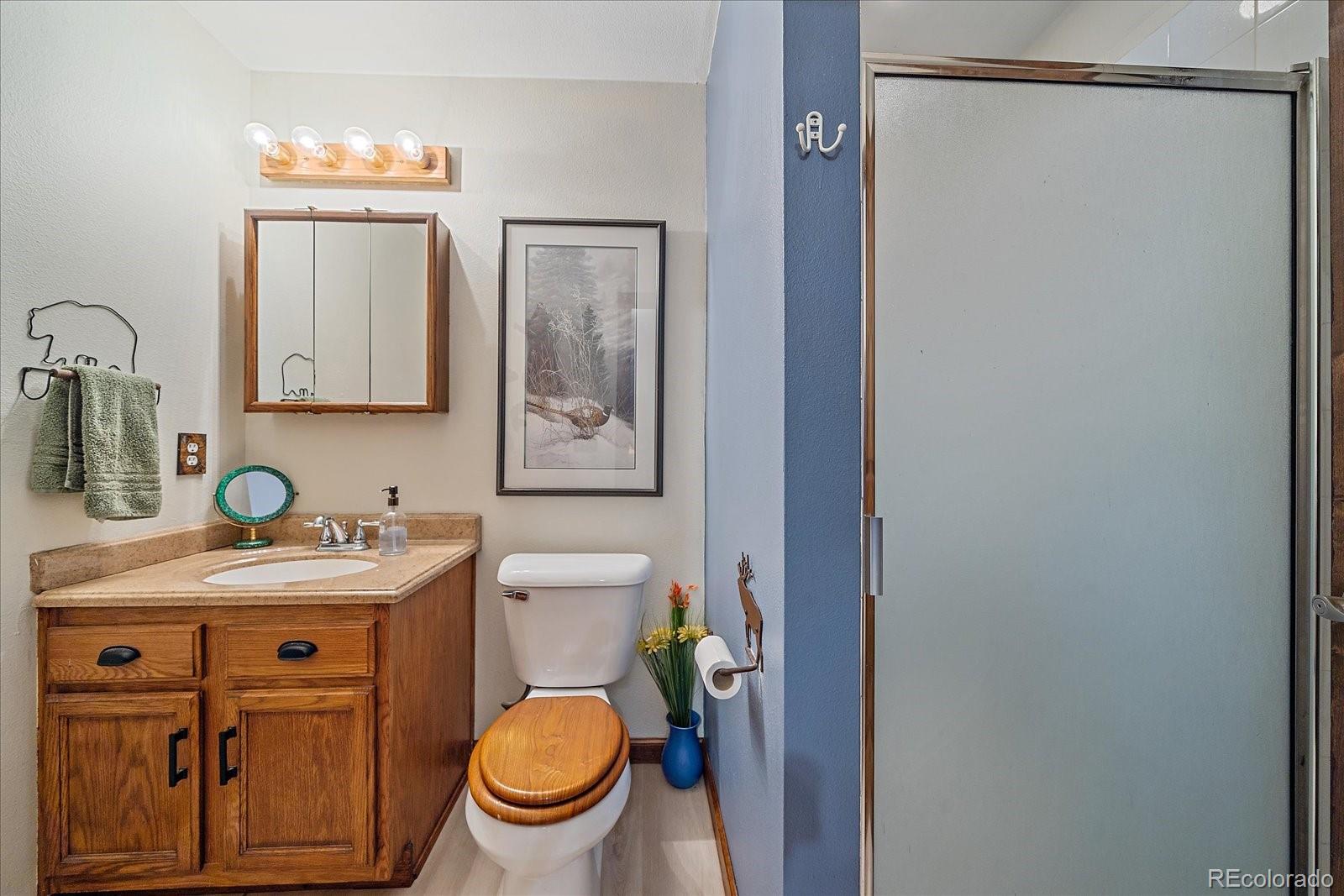 26035 Amy Circle Conifer, CO 80433 - Photo 23 of 38 a bathroom with a toilet a sink and a mirror