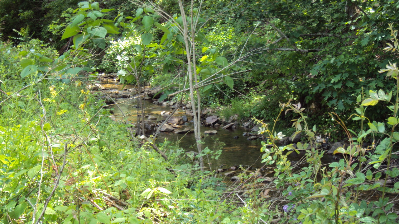 1168 Pico Road Buchanan, VA 24066 - Photo 2 of 5 Stream on property