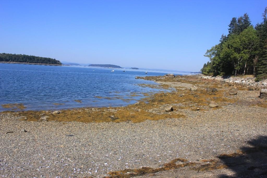 174 Dow Road Deer Isle, ME 04627 - Photo 8 of 21 Photo