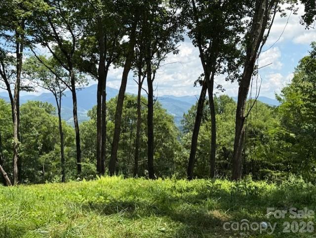 110 Cabin Ridge, Unit 110 Apex, NC 27523 - Photo 3 of 19