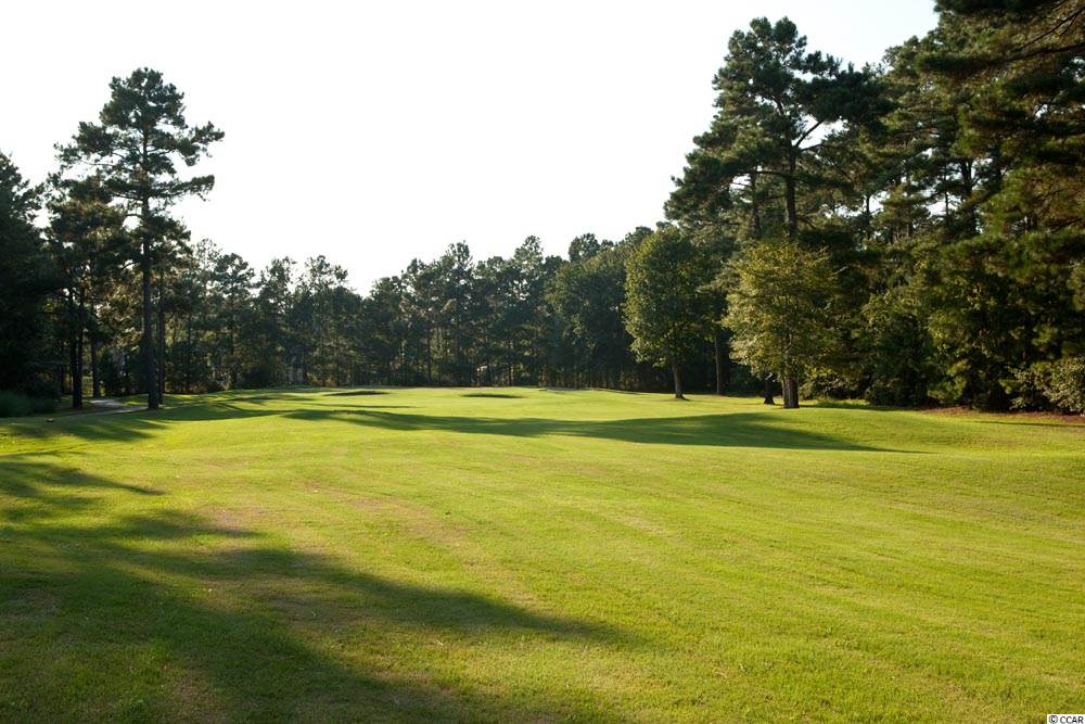 Lot 168 Chamberlin Road Myrtle Beach, SC 29588 - Photo 15 of 15 Gallery Image 15