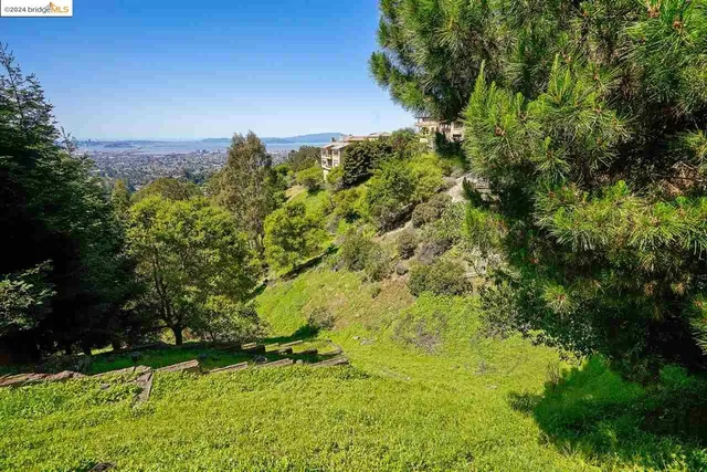 a view of a yard with a tree