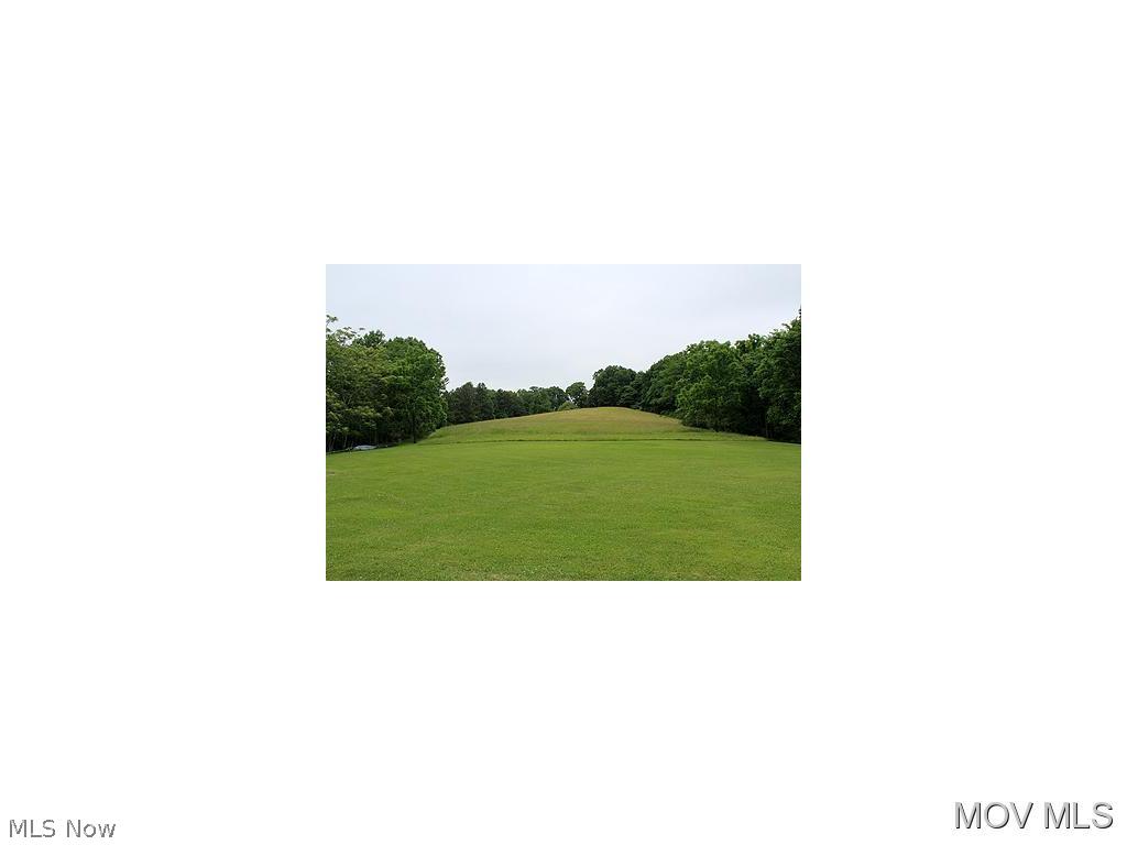 701 Nutters Fork Road Cairo, WV 26337 - Photo 19 of 24 Meadow