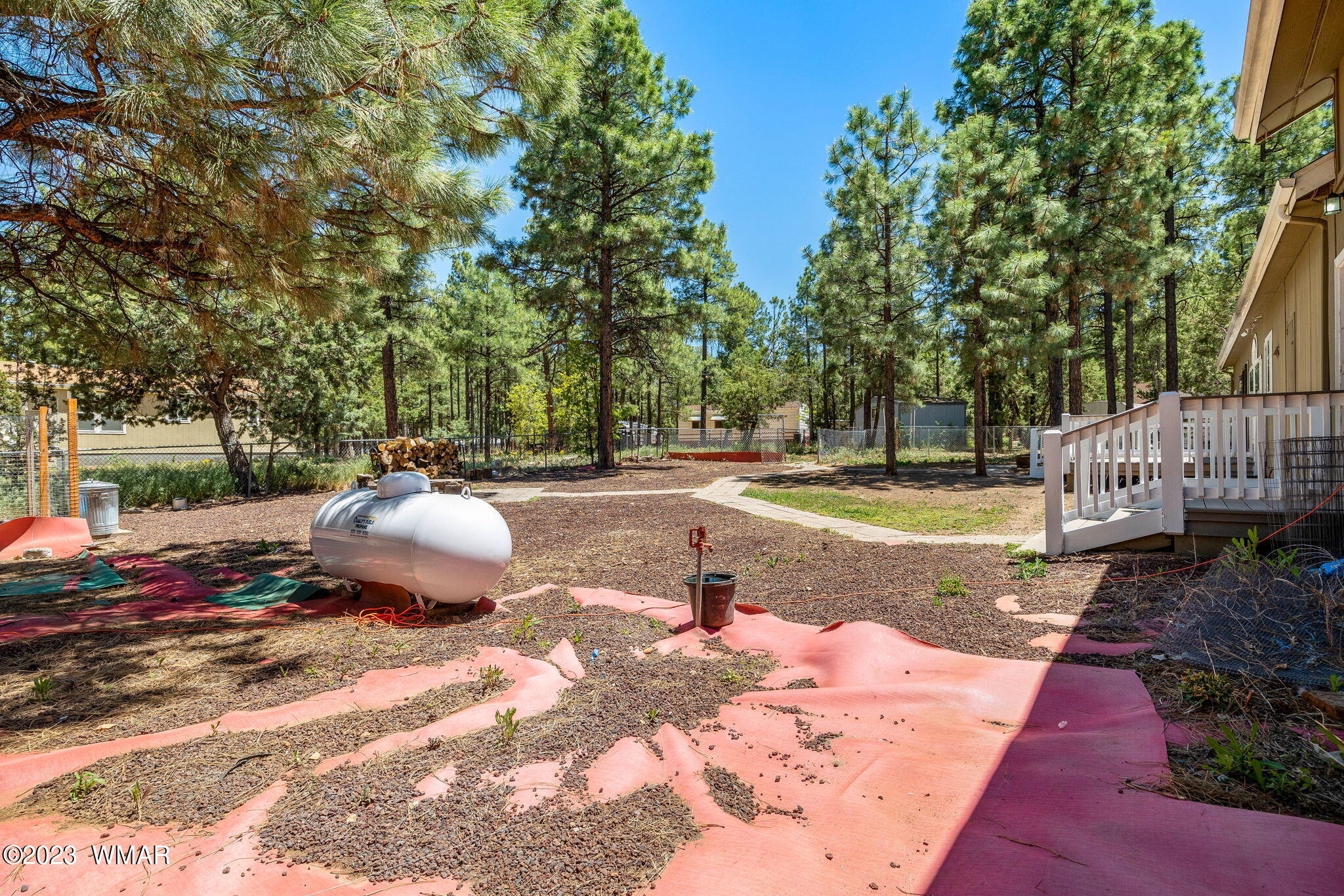 2865 Little Hawk Trail Overgaard, AZ 85933 - Photo 28 of 35