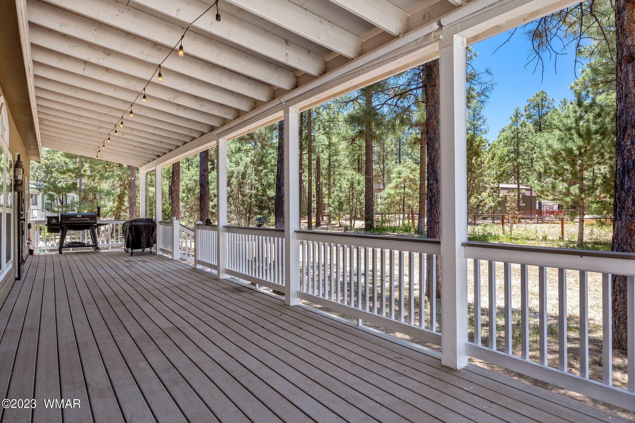 2865 Little Hawk Trail Overgaard, AZ 85933 - Photo 6 of 35