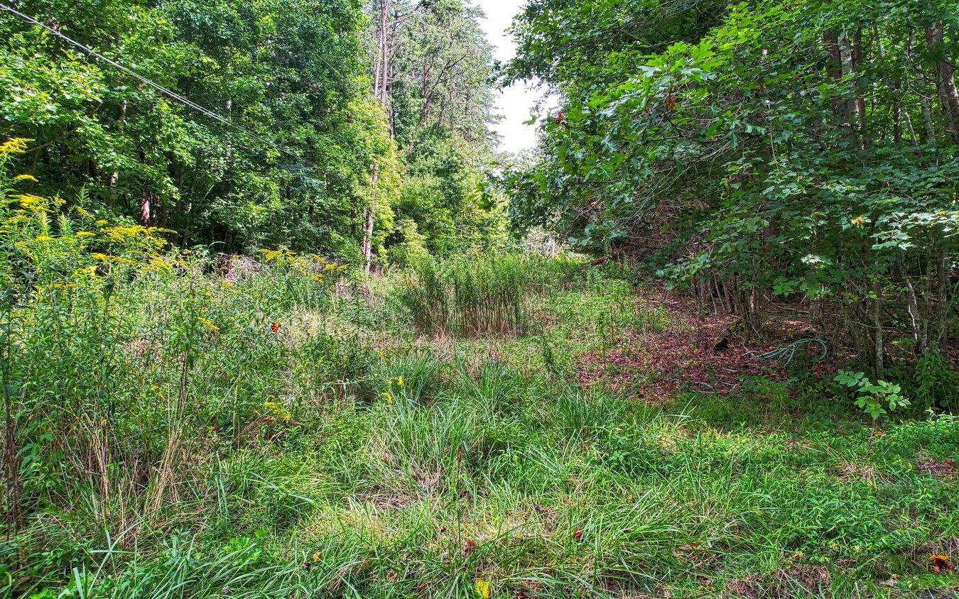 Tr1 Tr1 Gumlog Road Young Harris, GA 30582 - Photo 1 of 4 Main View