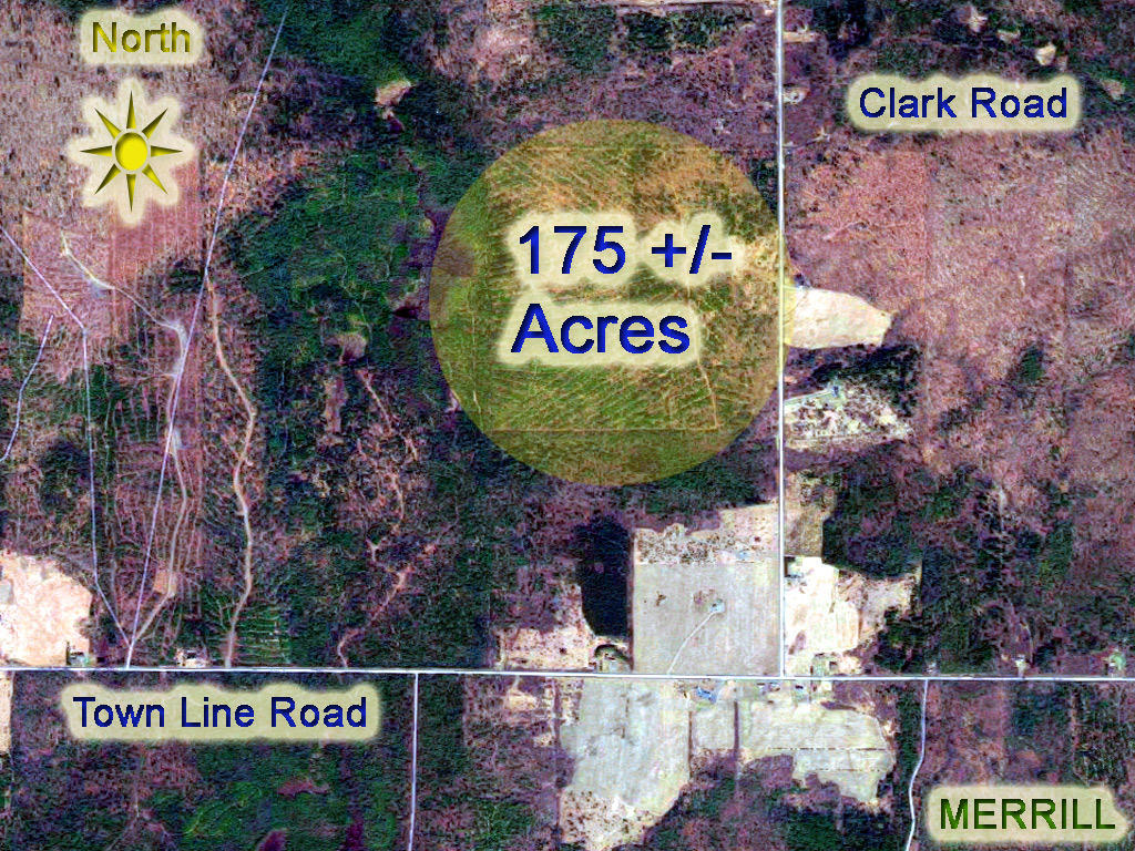 L-9-11c12 Clark Road Merrill, ME 04780 - Photo 15 of 40 land-merrill-anderson-175-a