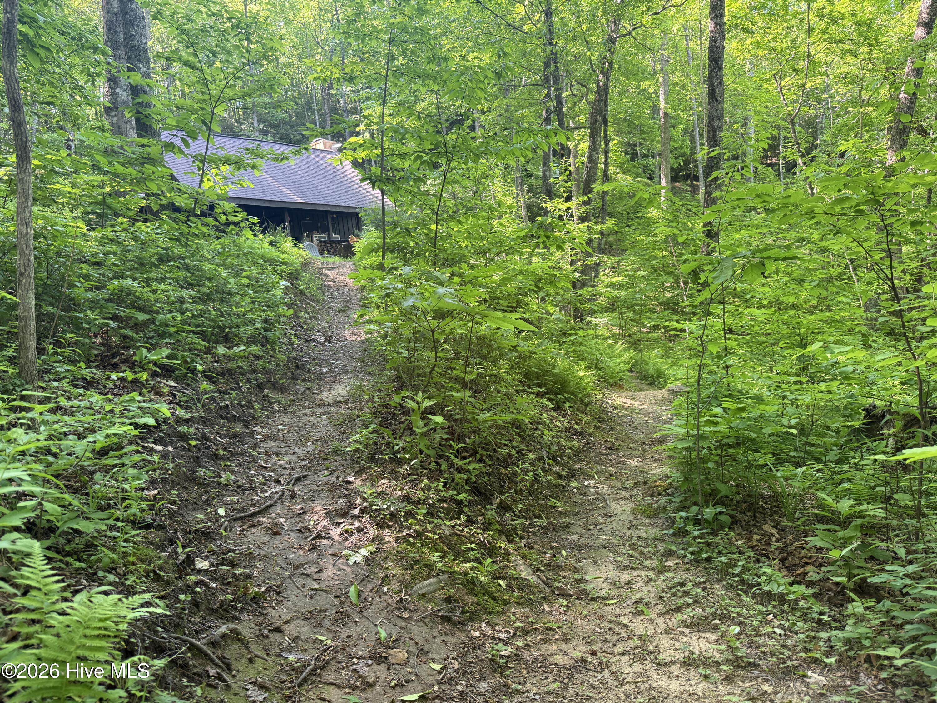 1096 Mt Tabor Road Topton, NC 28781 - Photo 36 of 46