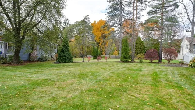 a backyard of a house with plants and trees