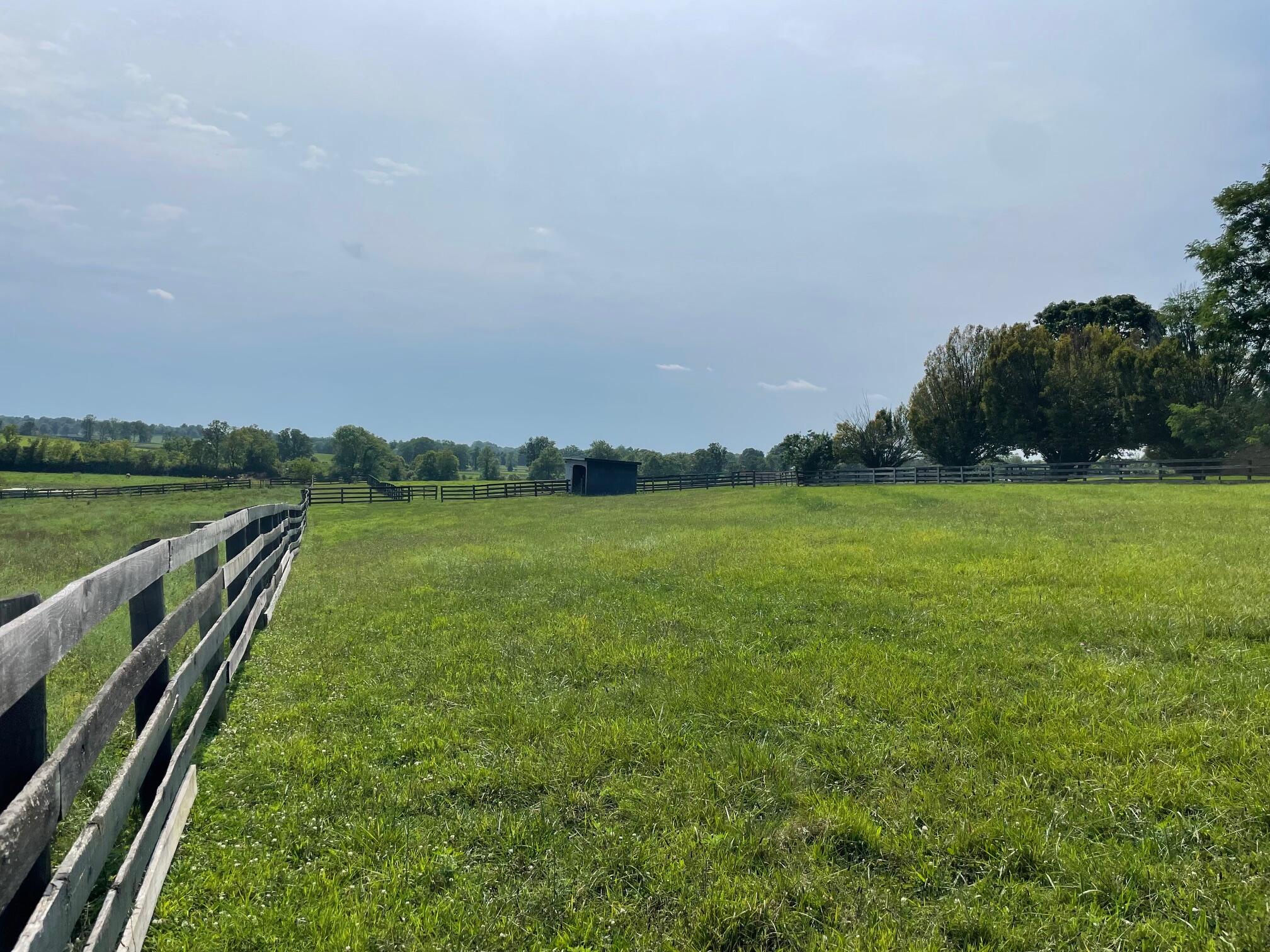 1101 Muir Station Road Lexington, KY 40516 - Photo 36 of 39 IMG_0011