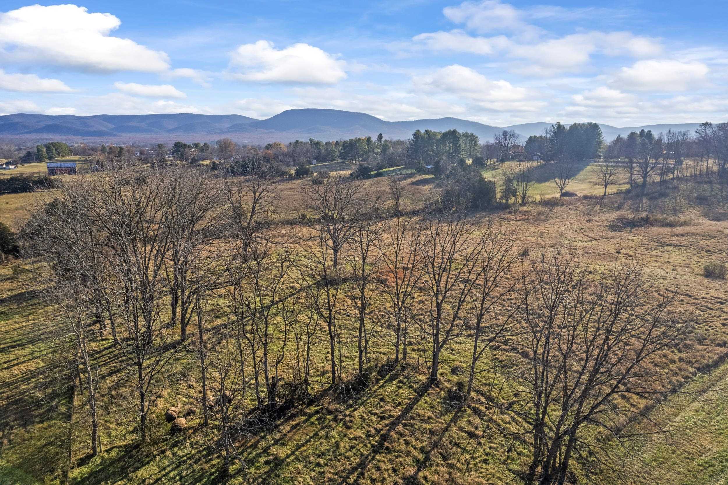 0 Bibb Farm Lane Waynesboro, VA 22980 - Photo 21 of 23 a view of a city with lots of trees