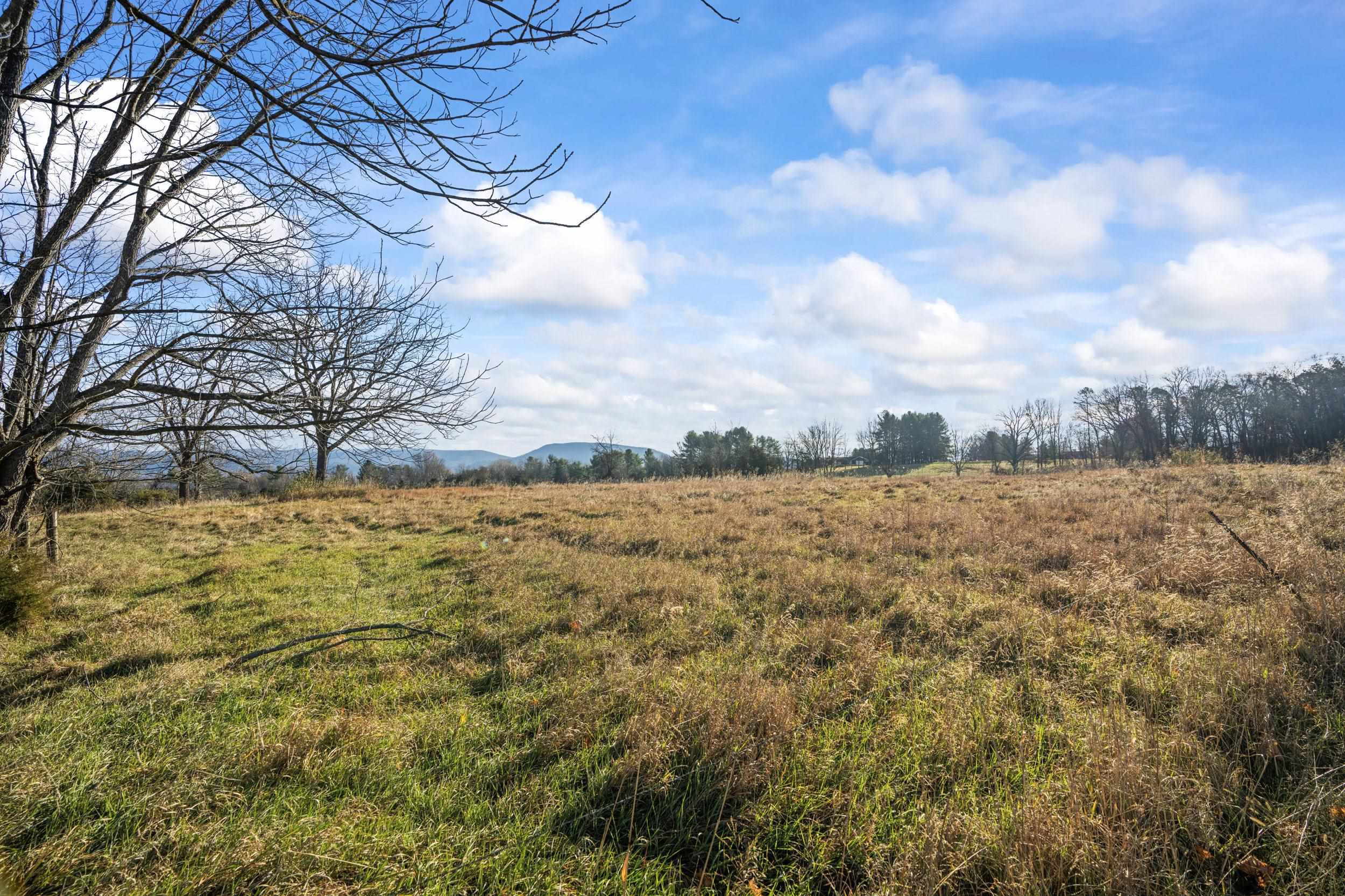 0 Bibb Farm Lane Waynesboro, VA 22980 - Photo 3 of 23 a view of yard with wooden fence
