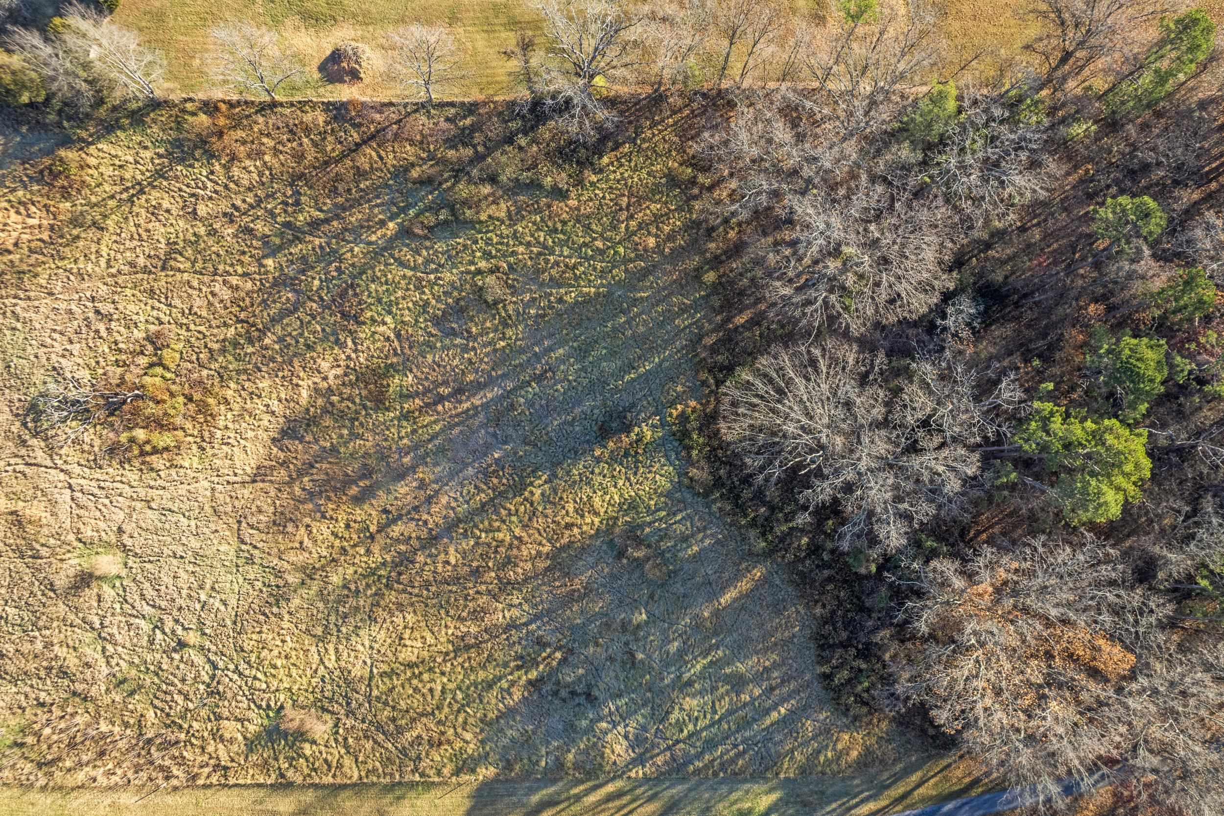 0 Bibb Farm Lane Waynesboro, VA 22980 - Photo 8 of 23 a picture of trees with wooden fence