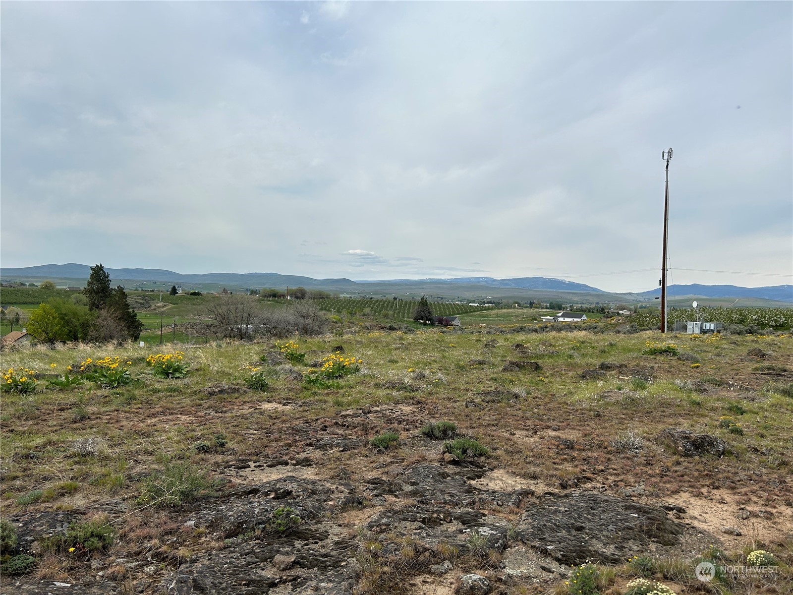 1483 Potter Road Tieton, WA 98947 - Photo 2 of 10 a view of a field with an ocean