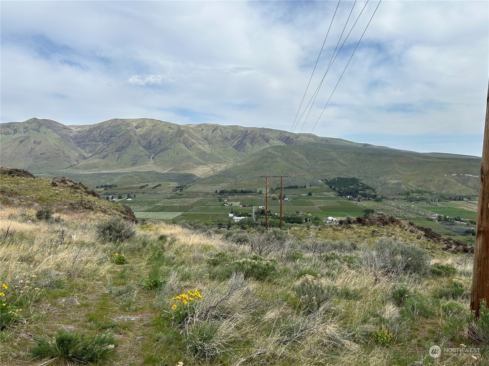 1483 Potter Road Tieton, WA 98947 - Photo 3 of 10 a view of a mountain in the distance in a field