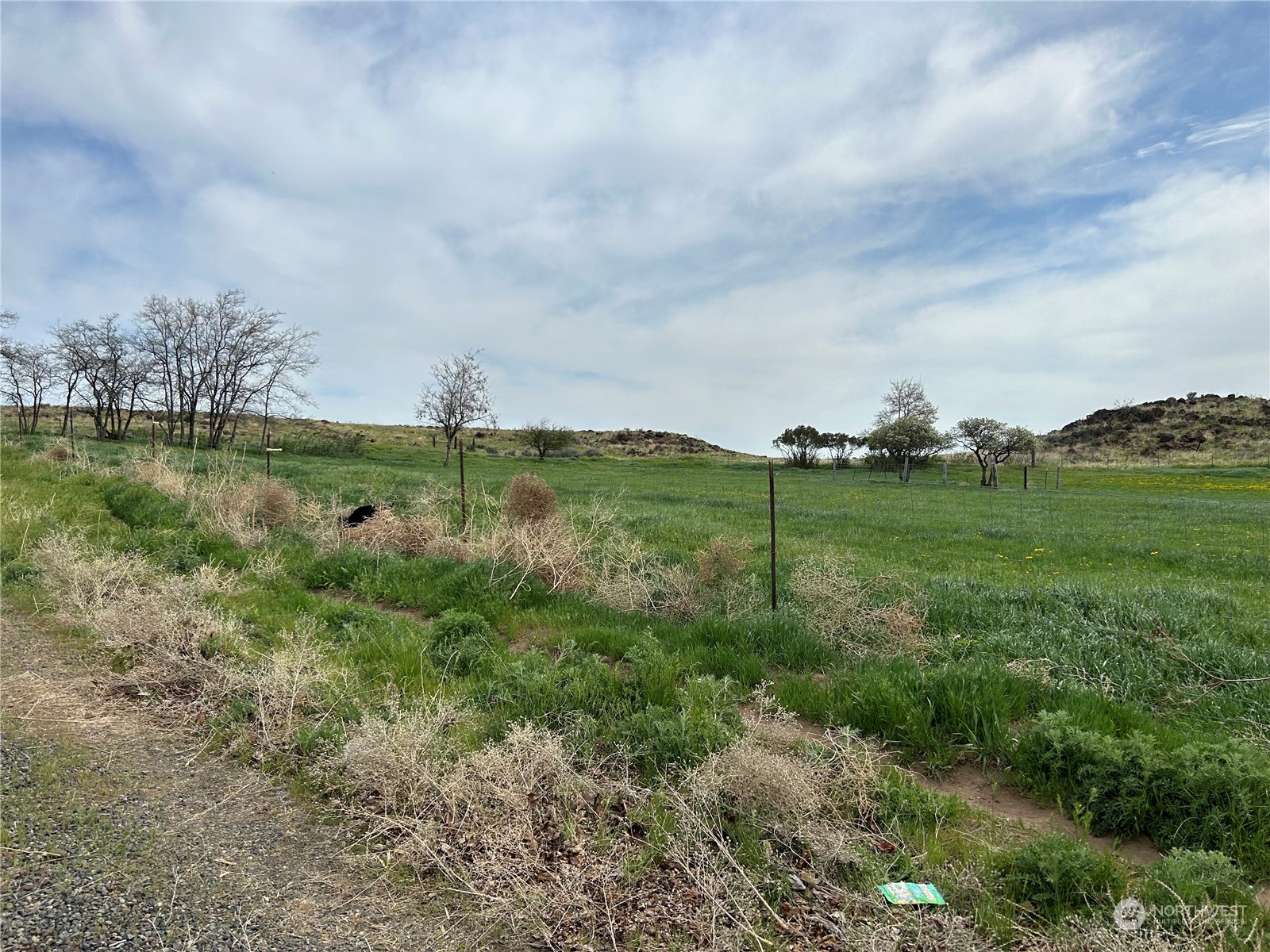 1483 Potter Road Tieton, WA 98947 - Photo 9 of 10 a view of a water pond with green space