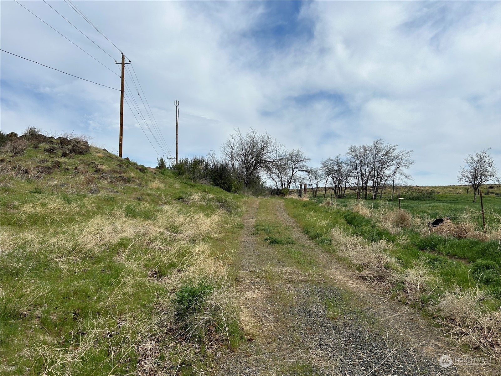 1483 Potter Road Tieton, WA 98947 - Photo 10 of 10 a view of a garden