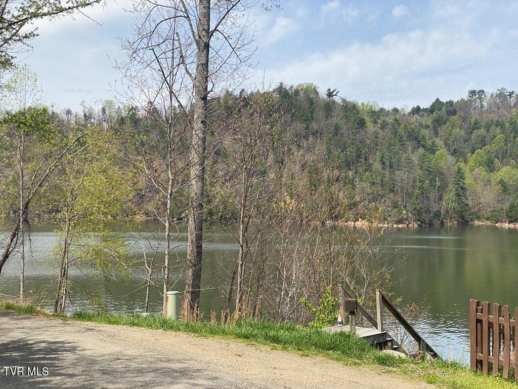 Lot 10 Norris Road, Unit 10 Butler, TN 37640 - Photo 4 of 4 norriswater
