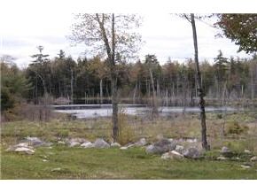 232 Salter Hill Road Madison, NH 03875 - Photo 5 of 5 Gallery Image 5