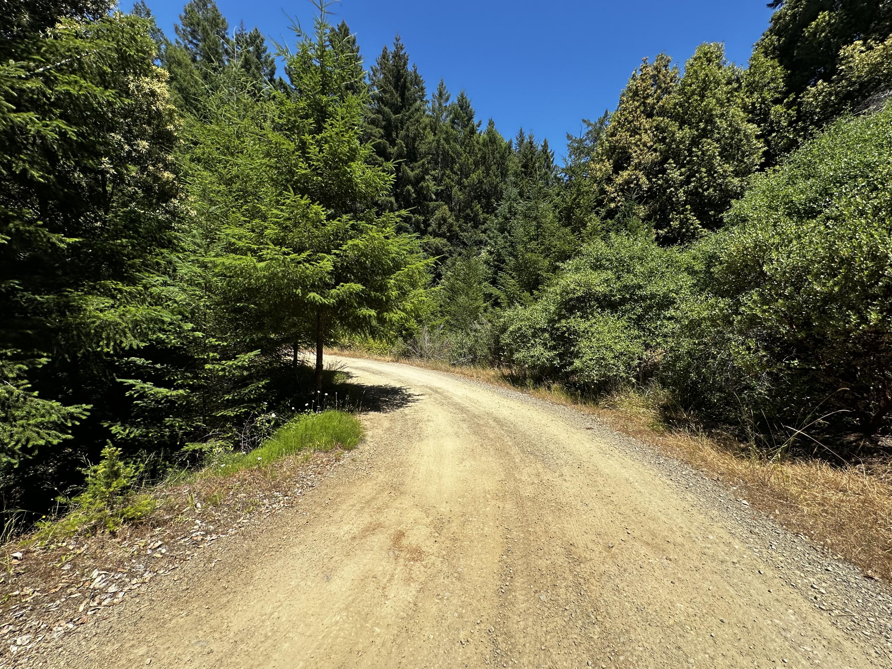 1055 Goodman Ranch Road Garberville, CA 95542 - Photo 58 of 63