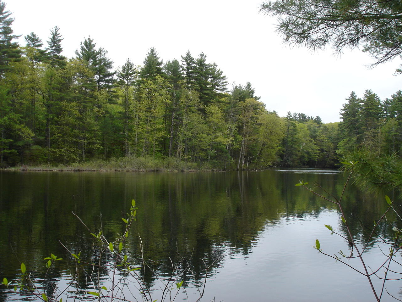 0 Hurricane Road Gorham, ME 04038 - Photo 5 of 10 DSC09954