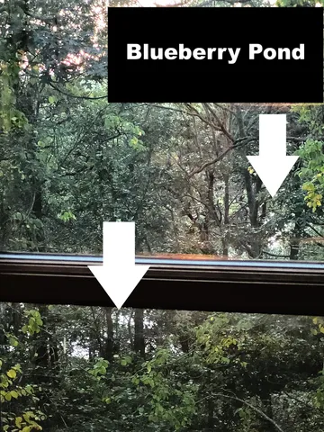 $599,000 | 277 Lund Farm Way, Brewster, MA 02631