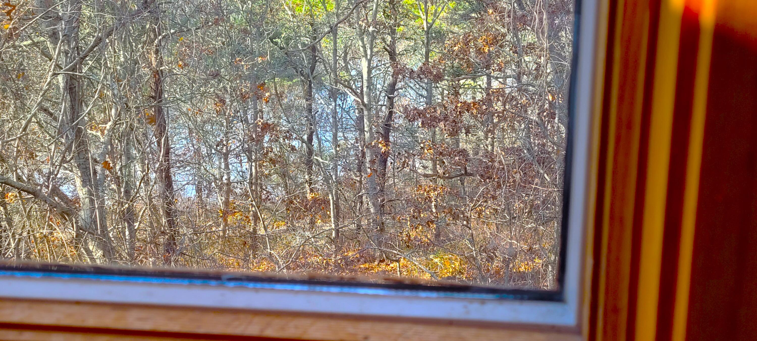 277 Lund Farm Way Brewster, MA 02631 - Photo 12 of 56 20251123_114408-