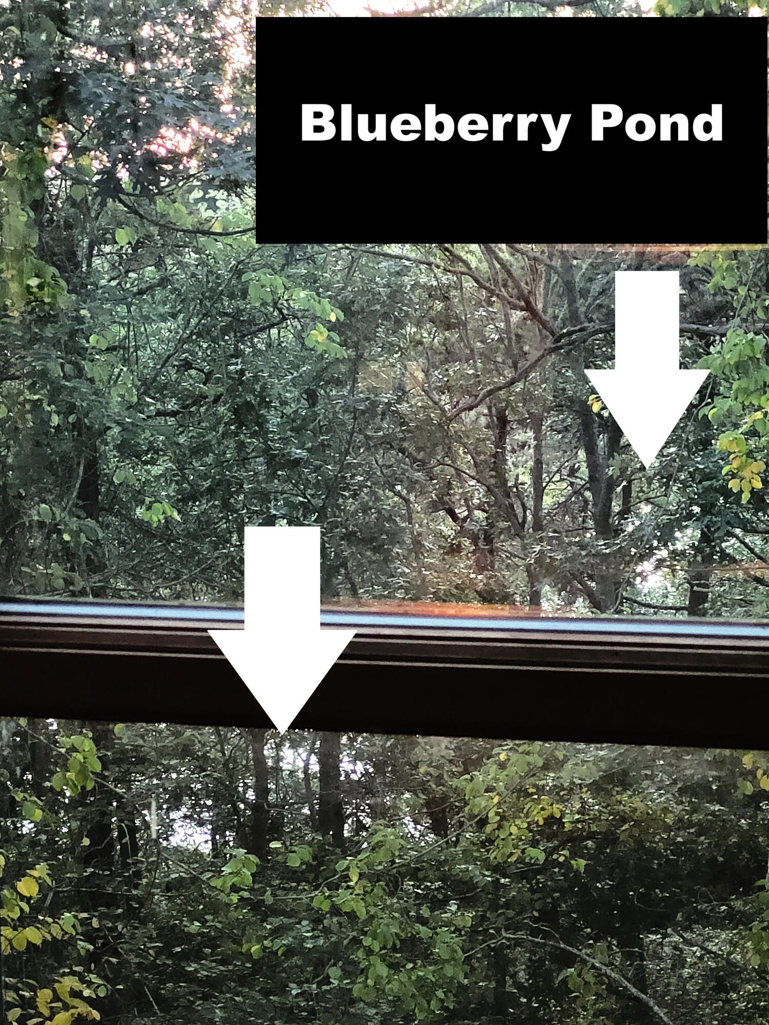 277 Lund Farm Way Brewster, MA 02631 - Photo 15 of 56 20250912_190208-- - Copy