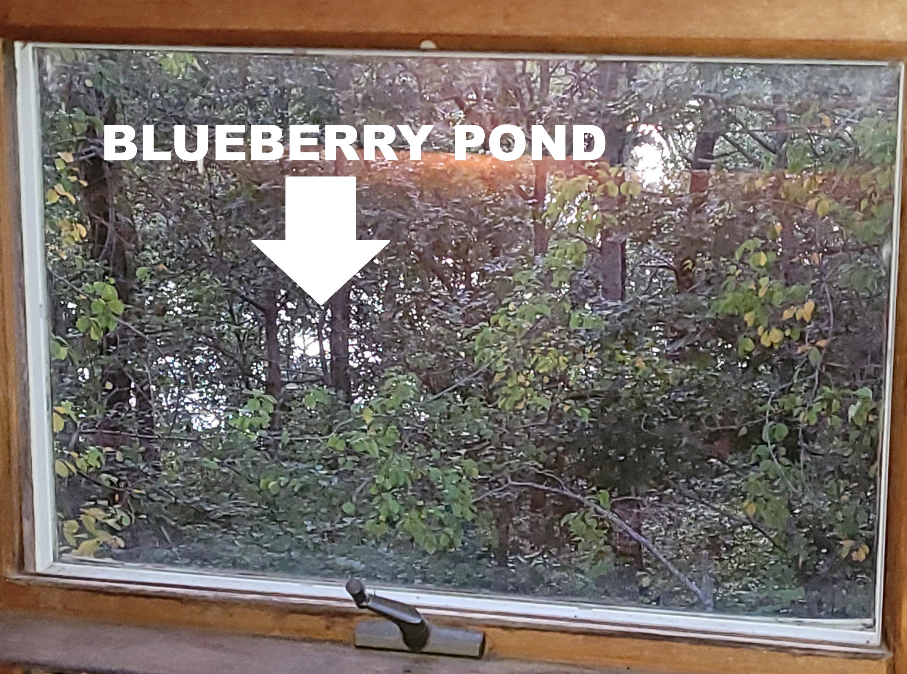 277 Lund Farm Way Brewster, MA 02631 - Photo 8 of 56 a view of window