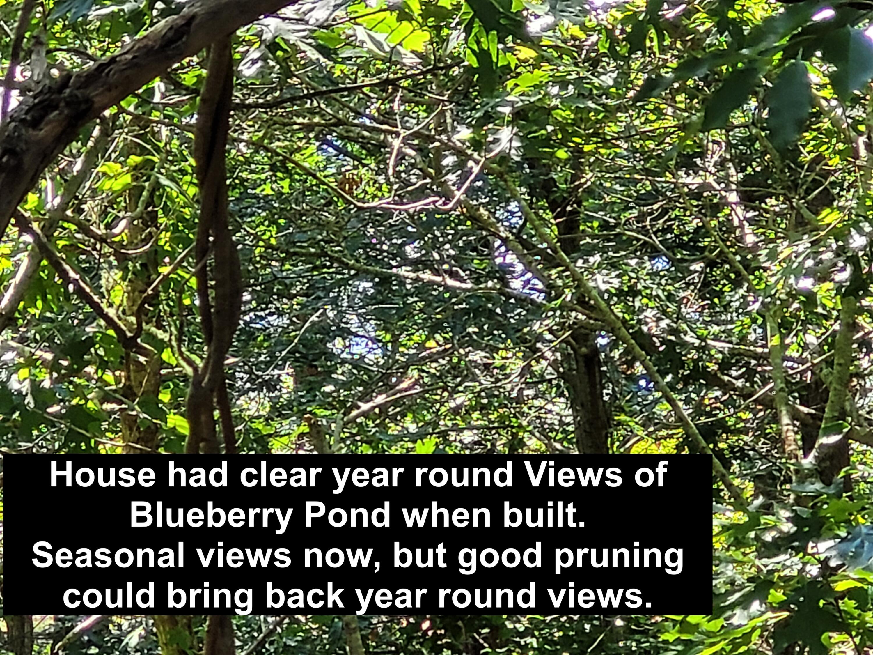 277 Lund Farm Way Brewster, MA 02631 - Photo 9 of 56 20250807_155248-views - Copy