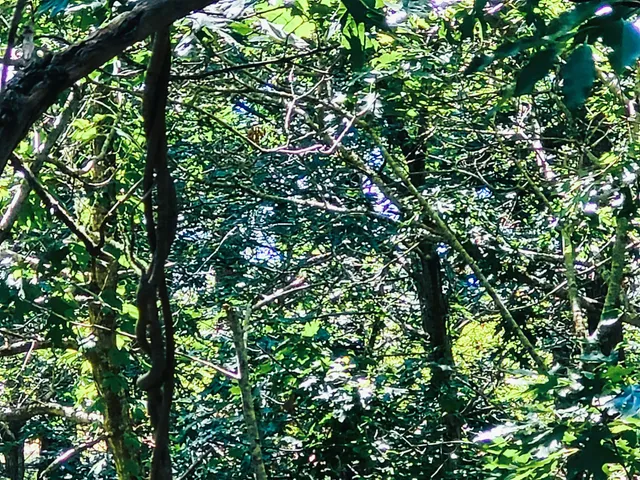 $599,000 | 277 Lund Farm Way, Brewster, MA 02631