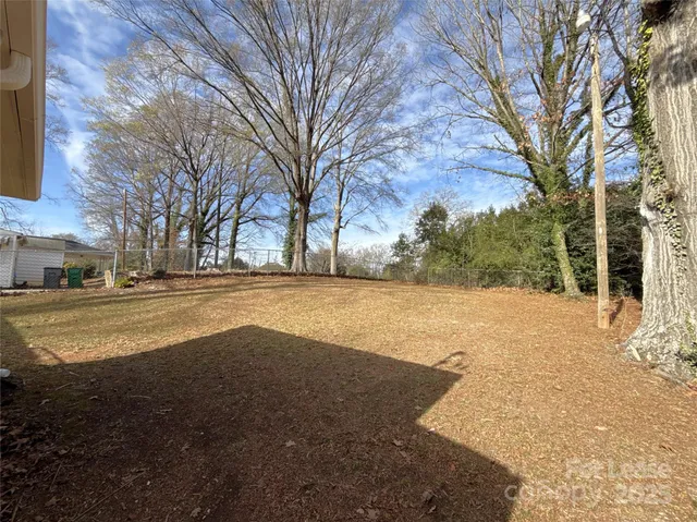 a view of road with large trees