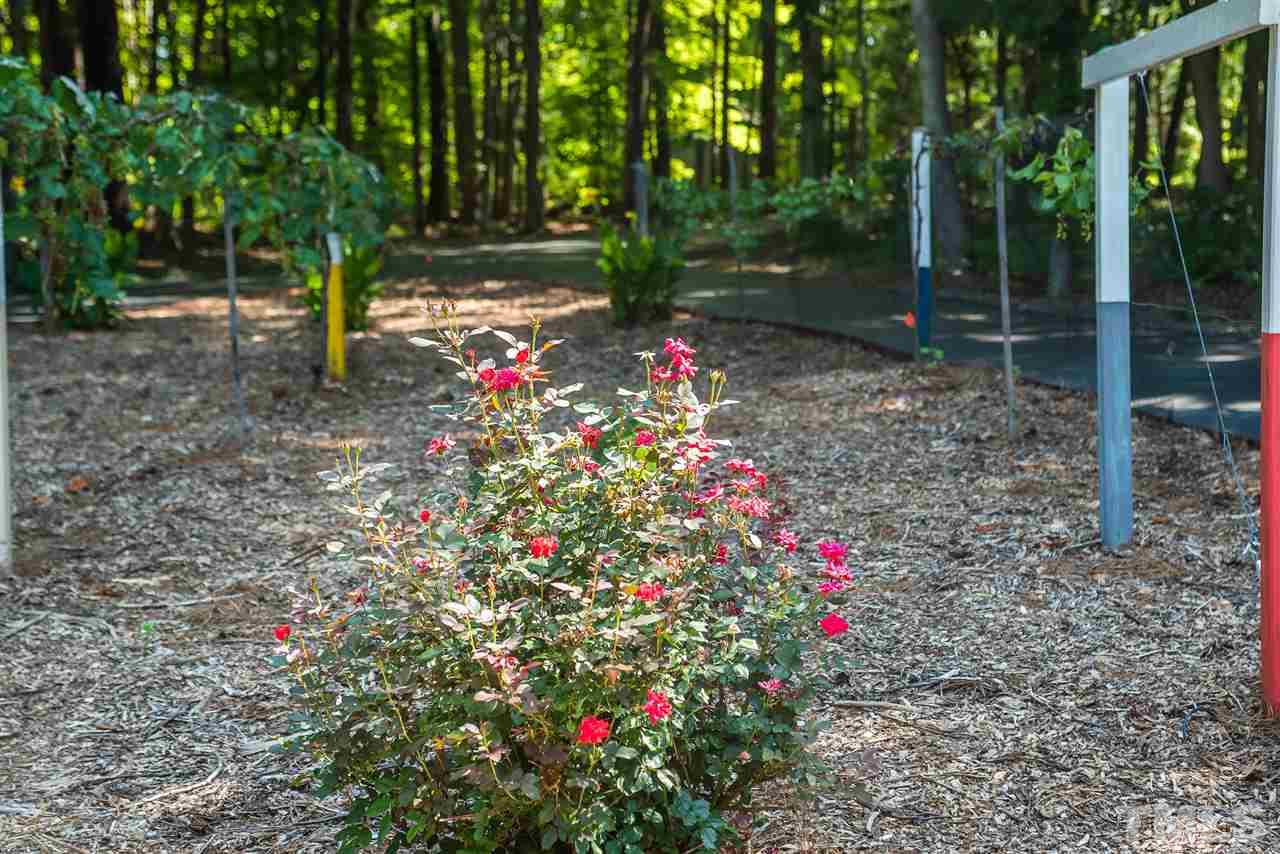 7620 Ramsey Road Rougemont, NC 27572 - Photo 20 of 20