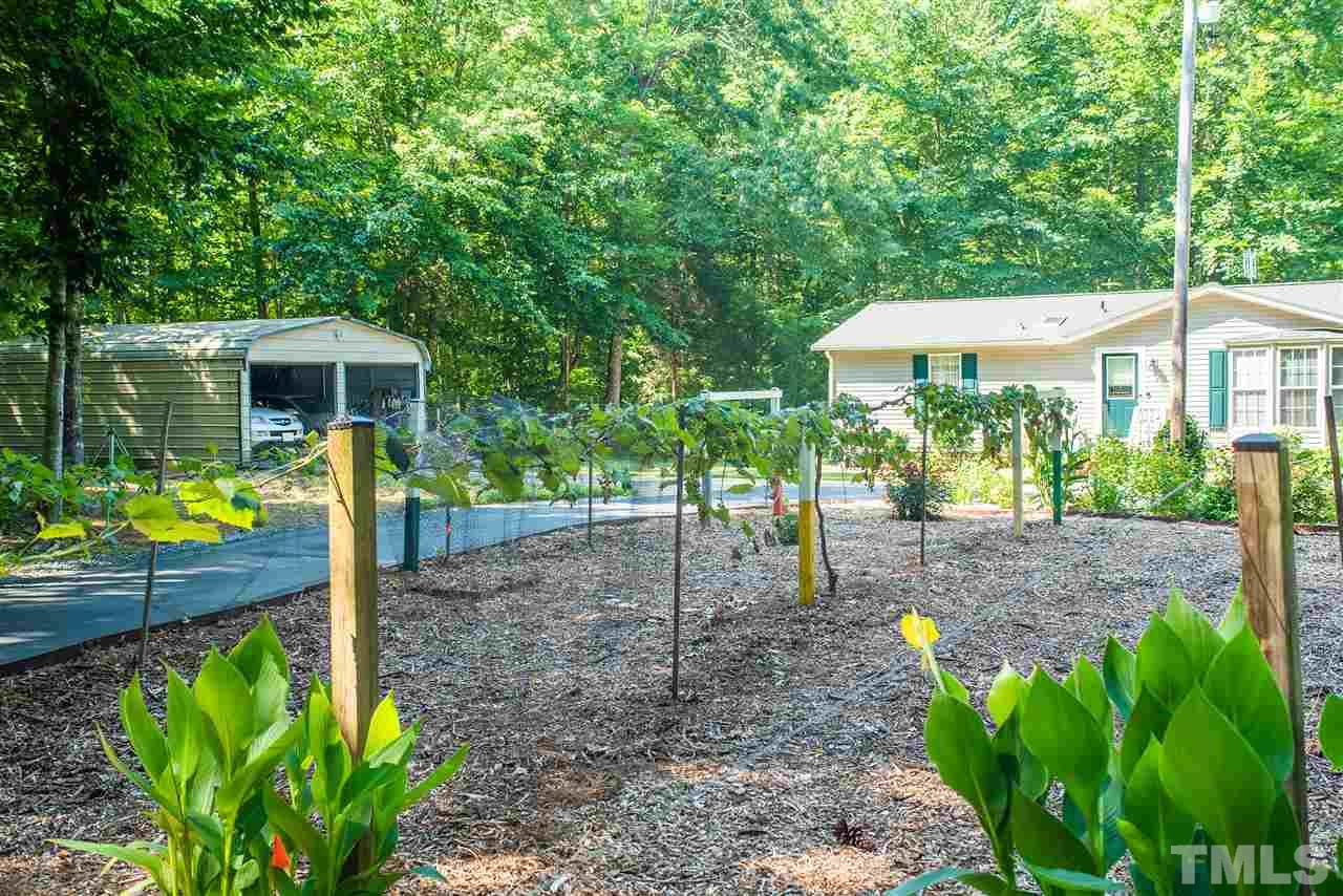 7620 Ramsey Road Rougemont, NC 27572 - Photo 7 of 20