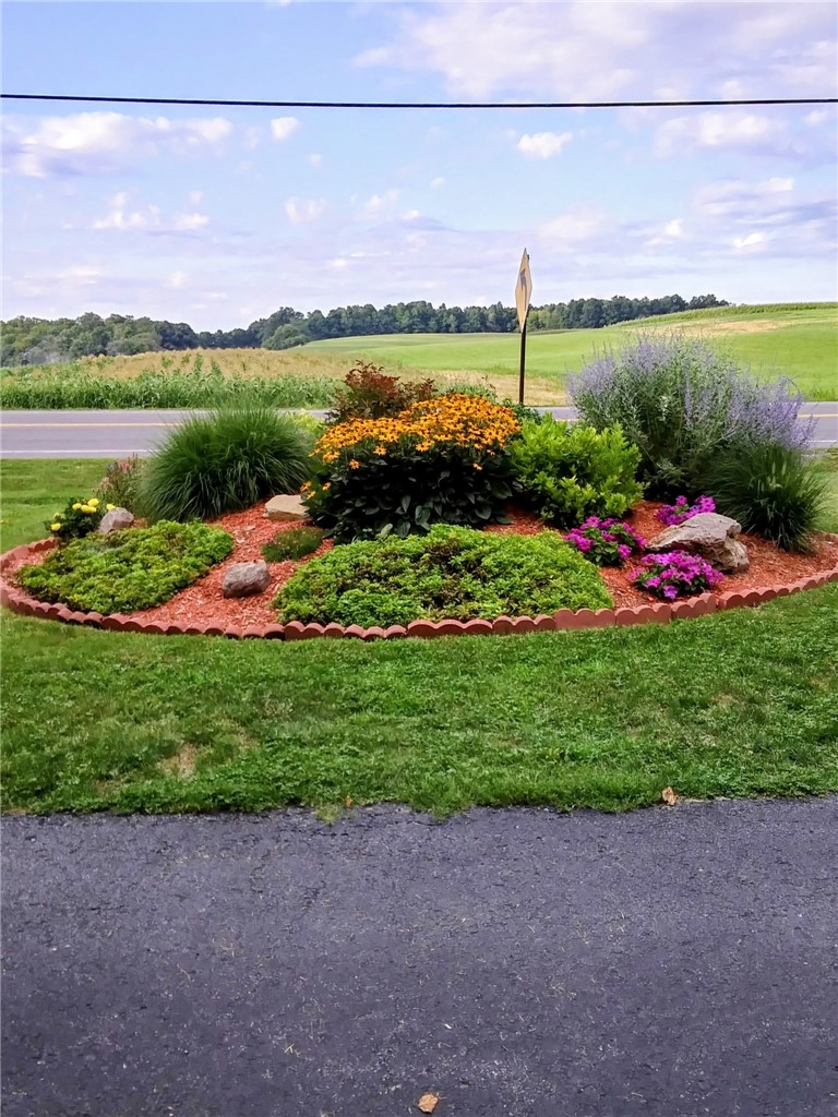 1426 West Genesee St Road Aurelius, NY 13021 - Photo 2 of 41