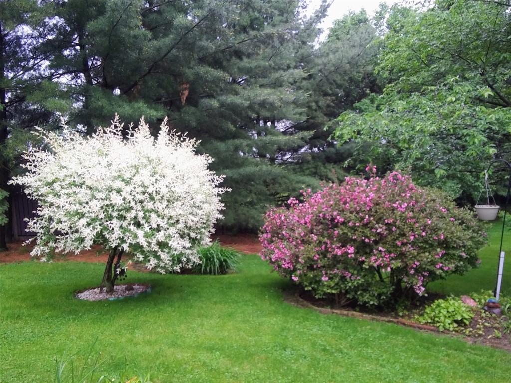 1426 West Genesee St Road Aurelius, NY 13021 - Photo 40 of 41