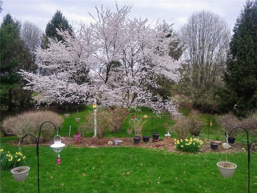 1426 West Genesee St Road Aurelius, NY 13021 - Photo 41 of 41