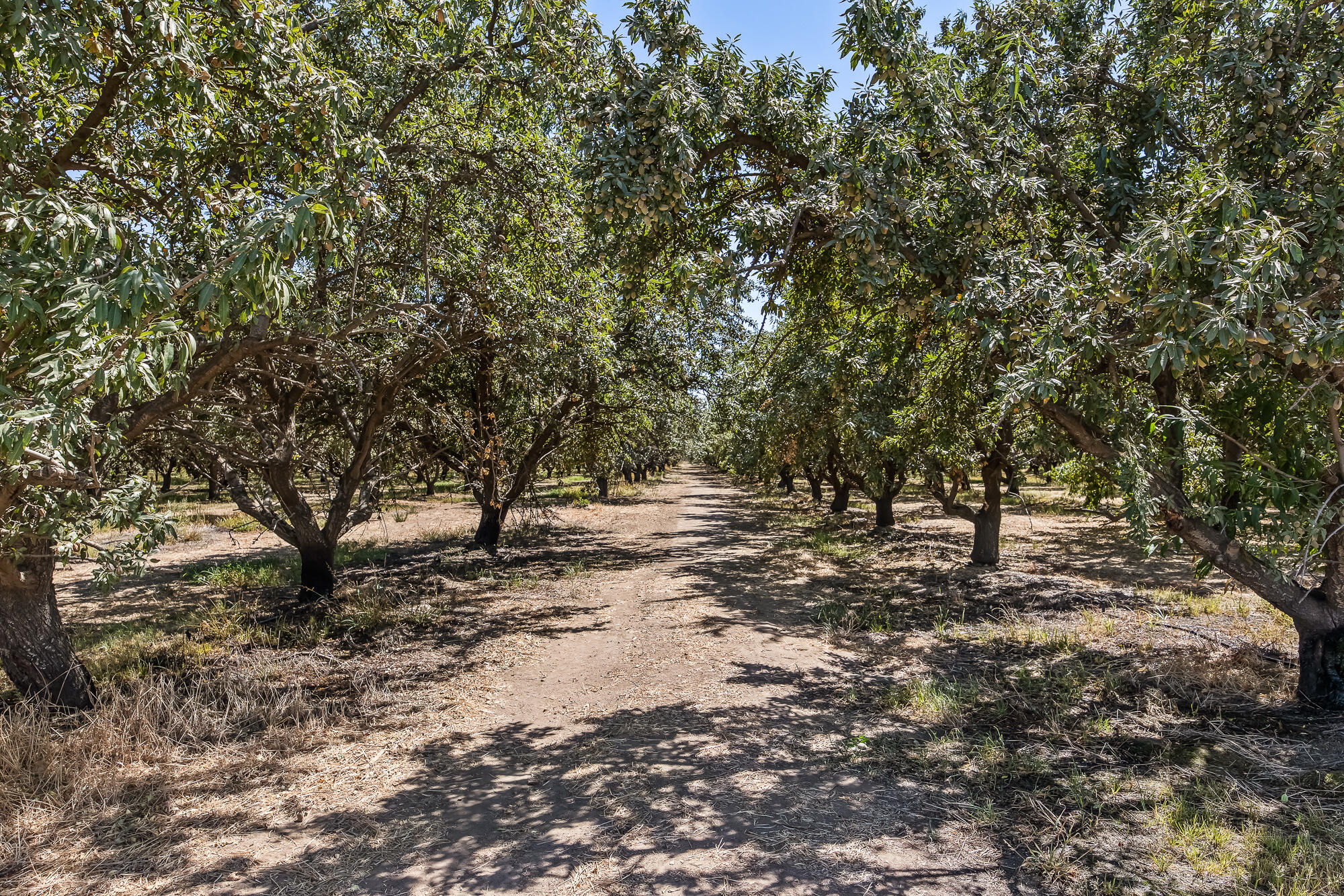 East Cleveland Road El Nido, CA 95317 - Photo 2 of 21 El Nido Ranch Camera Ground Level Shots