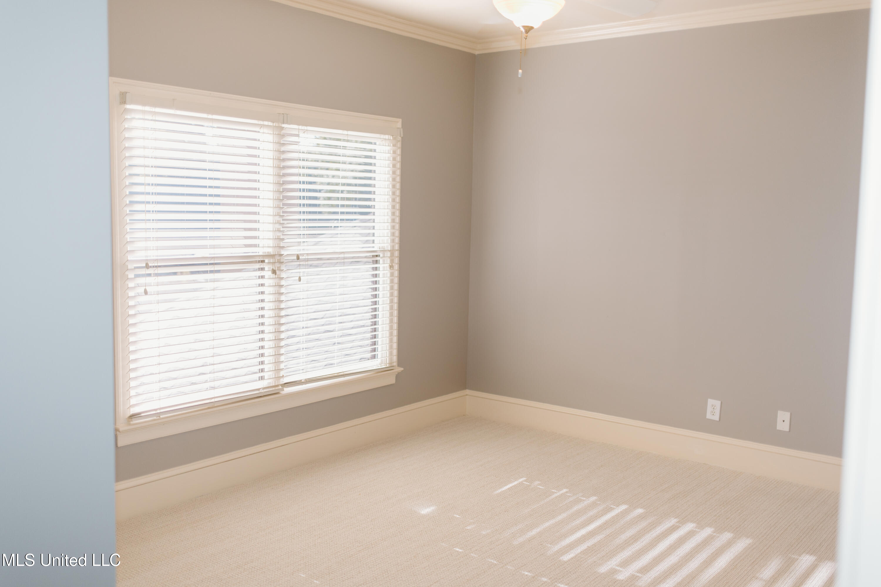 71 Grandview Circle Brandon, MS 39047 - Photo 58 of 68 forthewild.bysammy-61