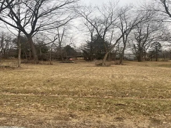 a view of a yard with trees