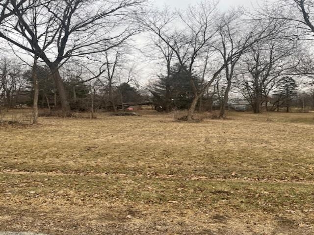 a view of a yard with trees