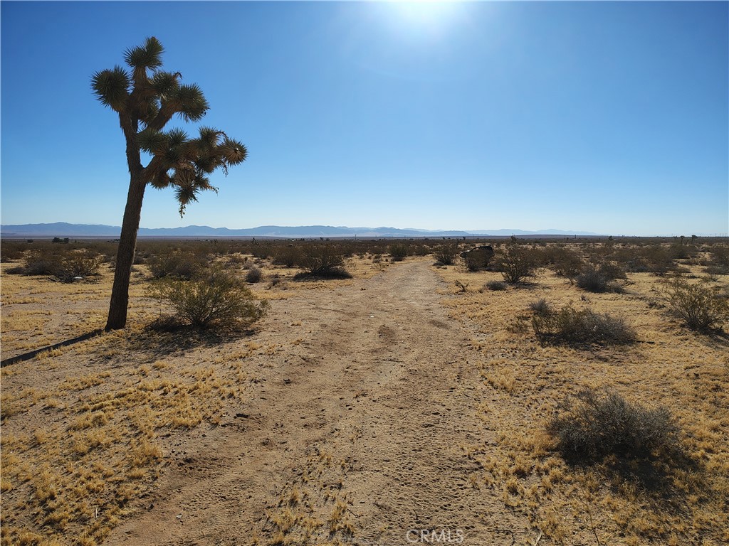 408 Stable Landers, CA 92285 - Photo 3 of 3