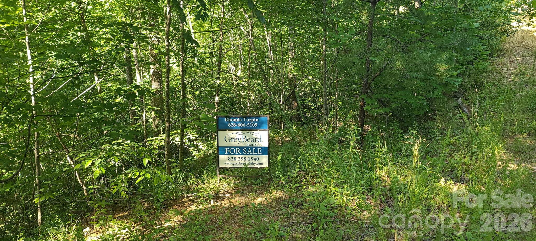 Lot#19 Mill Creek Road Old Fort, NC 28762 - Photo 8 of 13