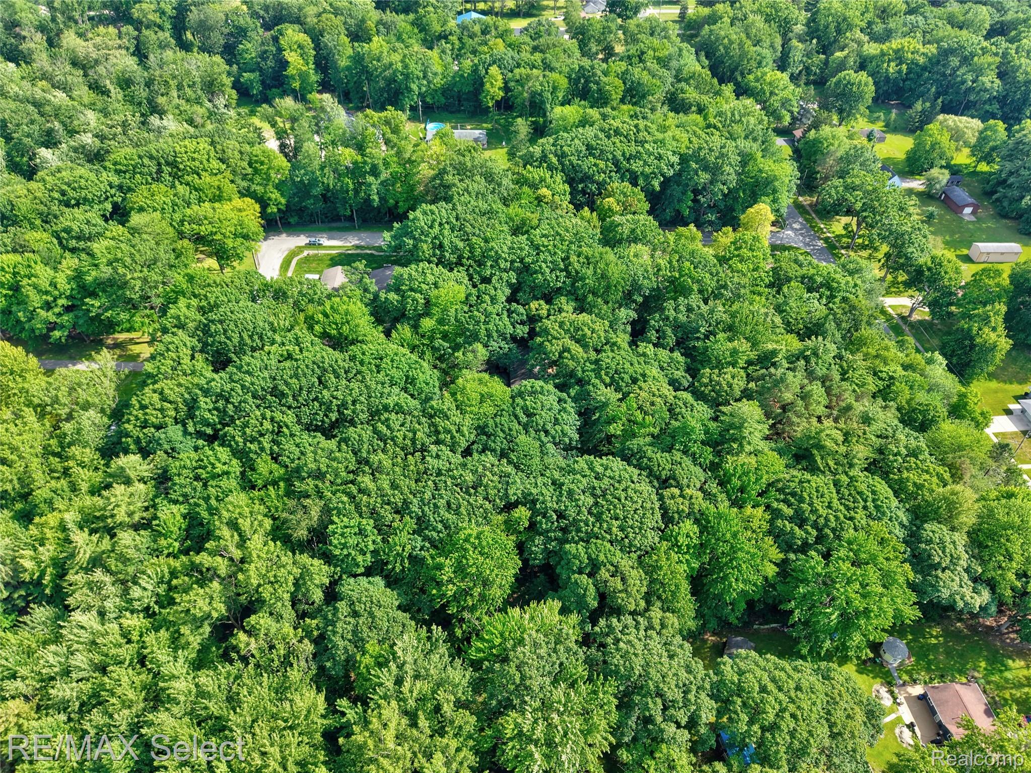 3471 South Towerline Road Bridgeport, MI 48722 - Photo 52 of 55 3471 S Towerline Rd 28.jpg
