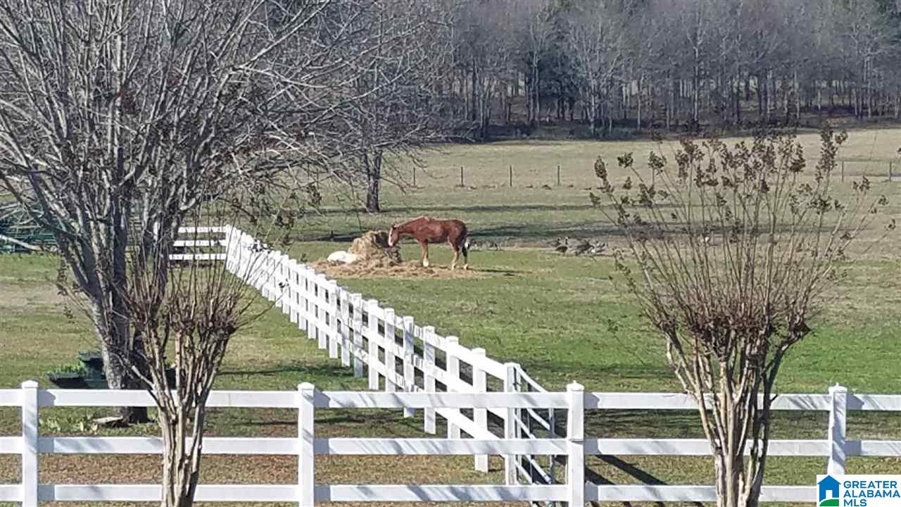 2355 Salem Road Montevallo, AL 35115 - Photo 32 of 47
