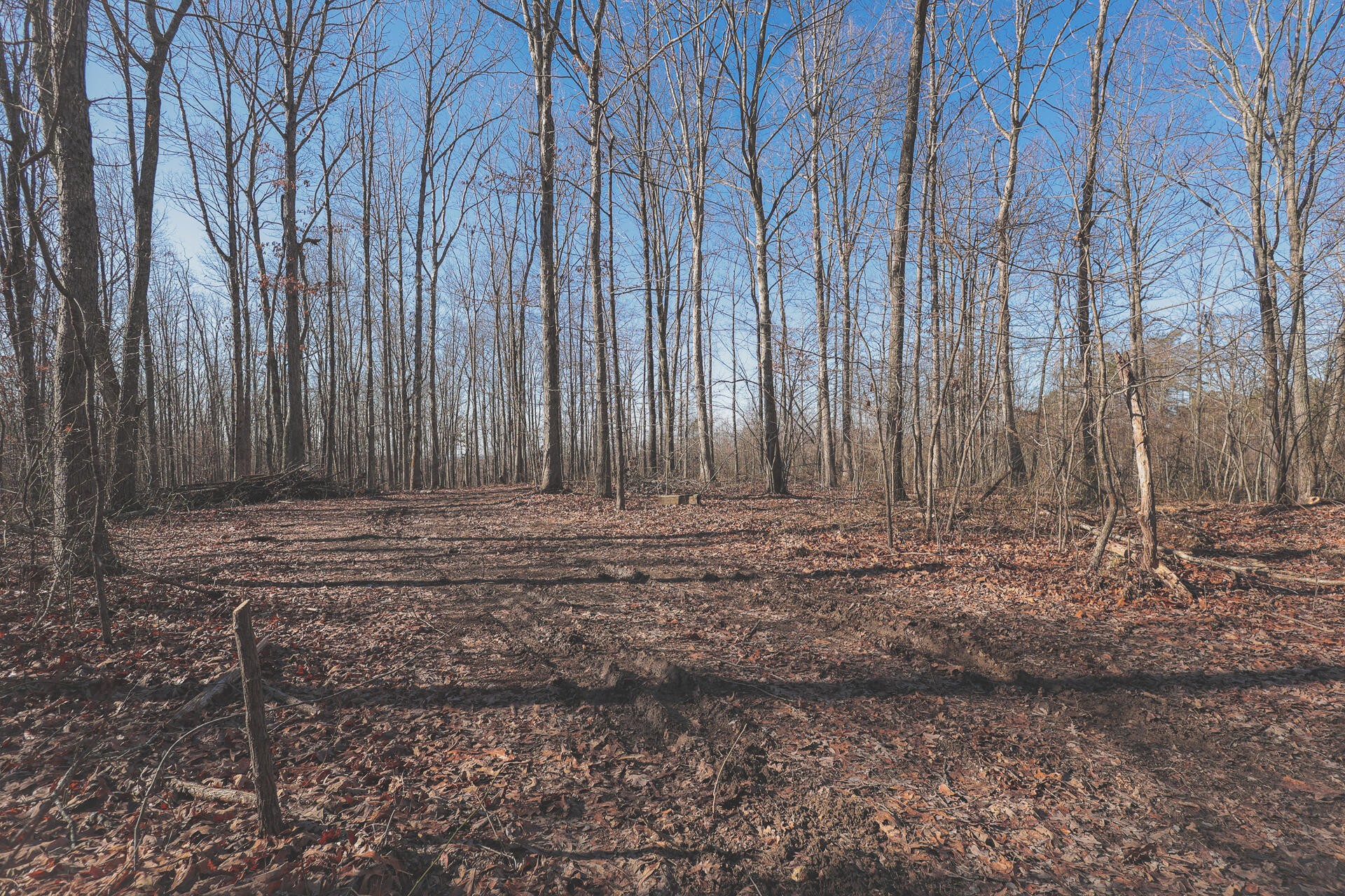 0 Palmer Firetower Road Whitwell, TN 37397 - Photo 34 of 49 Gallery Image 34