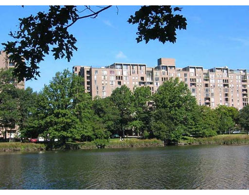 44 Washington Street, Unit 418 Brookline, MA 02445 - Photo 8 of 9 a view of lake