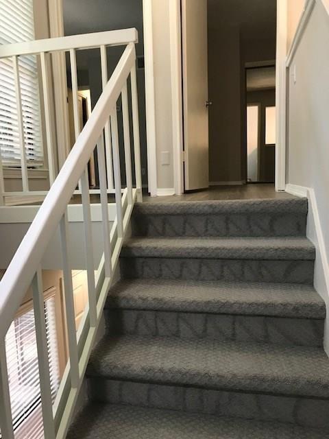 18240 Midway Road, Unit 303 Dallas, TX 75287 - Photo 11 of 21 Staircase featuring grey patterned carpeting, white painted handrails, and white painted balusters